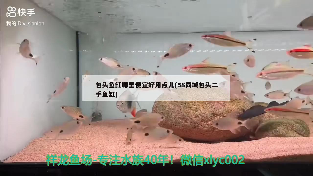 包頭魚缸哪里便宜好用點兒(58同城包頭二手魚缸)