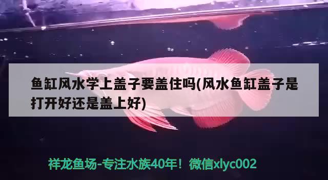 魚(yú)缸風(fēng)水學(xué)上蓋子要蓋住嗎(風(fēng)水魚(yú)缸蓋子是打開(kāi)好還是蓋上好)