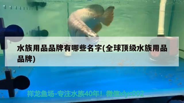 水族用品品牌有哪些名字(全球頂級水族用品品牌) 水族用品