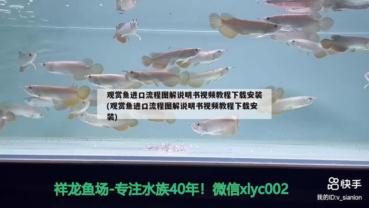 觀賞魚進口流程圖解說明書視頻教程下載安裝(觀賞魚進口流程圖解說明書視頻教程下載安裝)