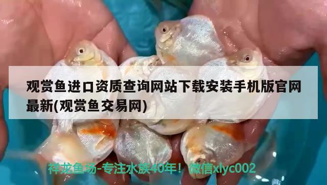 觀賞魚進口資質查詢網站下載安裝手機版官網最新(觀賞魚交易網) 觀賞魚進出口