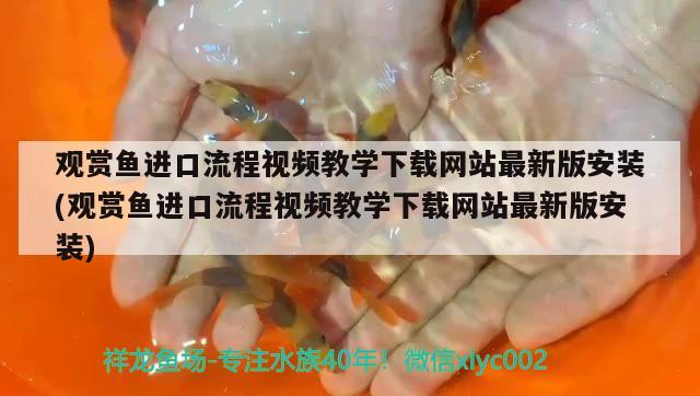 觀賞魚進口流程視頻教學下載網(wǎng)站最新版安裝(觀賞魚進口流程視頻教學下載網(wǎng)站最新版安裝) 觀賞魚進出口