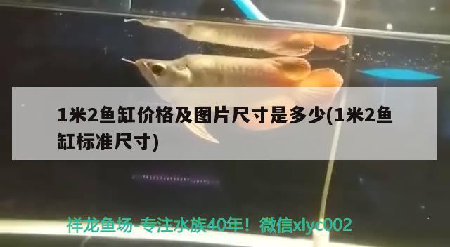 1米2魚缸價格及圖片尺寸是多少(1米2魚缸標準尺寸)