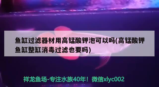 魚缸過濾器材用高錳酸鉀泡可以嗎(高錳酸鉀魚缸整缸消毒過濾也要嗎)