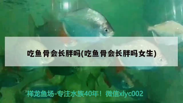 吃魚骨會長胖嗎(吃魚骨會長胖嗎女生) 水溫計