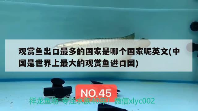 觀賞魚(yú)出口最多的國(guó)家是哪個(gè)國(guó)家呢英文(中國(guó)是世界上最大的觀賞魚(yú)進(jìn)口國(guó)) 觀賞魚(yú)進(jìn)出口