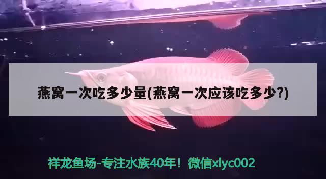 燕窩一次吃多少量(燕窩一次應(yīng)該吃多少?) 馬來西亞燕窩