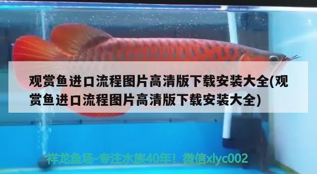 觀賞魚進口流程圖片高清版下載安裝大全(觀賞魚進口流程圖片高清版下載安裝大全)