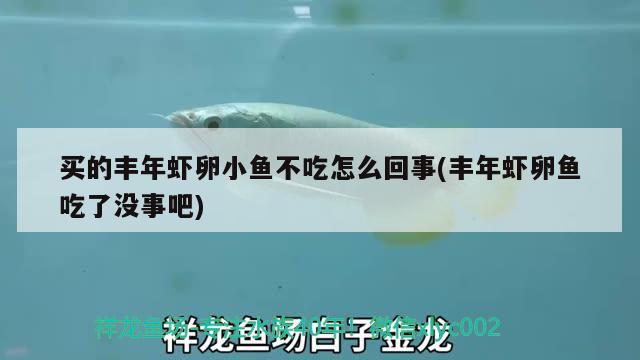 買的豐年蝦卵小魚不吃怎么回事(豐年蝦卵魚吃了沒事吧)