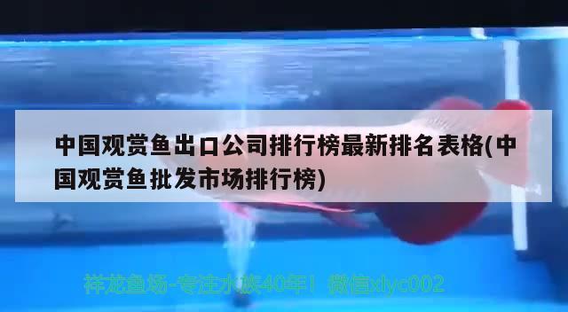 中國(guó)觀賞魚(yú)出口公司排行榜最新排名表格(中國(guó)觀賞魚(yú)批發(fā)市場(chǎng)排行榜)