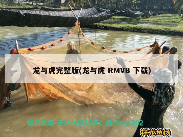 龍與虎完整版(龍與虎RMVB下載) 祥龍魚藥系列