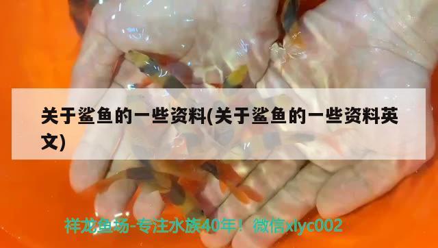 關(guān)于鯊魚的一些資料(關(guān)于鯊魚的一些資料英文) 白子黃化銀龍魚