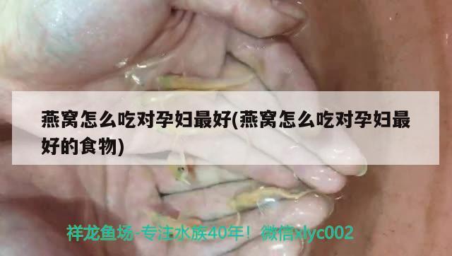 燕窩怎么吃對孕婦最好(燕窩怎么吃對孕婦最好的食物) 馬來西亞燕窩