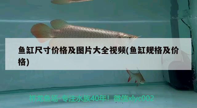 魚(yú)缸尺寸價(jià)格及圖片大全視頻(魚(yú)缸規(guī)格及價(jià)格) 黃金河虎魚(yú) 第2張