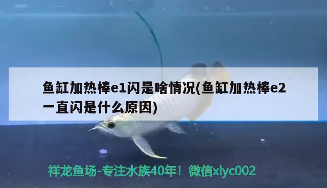 魚(yú)缸加熱棒e1閃是啥情況(魚(yú)缸加熱棒e2一直閃是什么原因) 黃鰭鯧魚(yú)