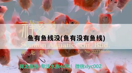 魚(yú)有魚(yú)線沒(méi)(魚(yú)有沒(méi)有魚(yú)線) 垂釣樂(lè)園