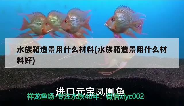 水族箱造景用什么材料(水族箱造景用什么材料好)