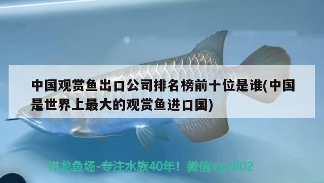 中國(guó)觀賞魚(yú)出口公司排名榜前十位是誰(shuí)(中國(guó)是世界上最大的觀賞魚(yú)進(jìn)口國(guó)) 觀賞魚(yú)進(jìn)出口