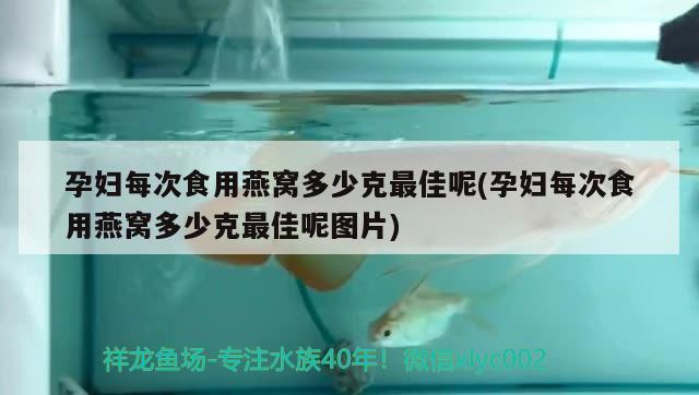 孕婦每次食用燕窩多少克最佳呢(孕婦每次食用燕窩多少克最佳呢圖片)