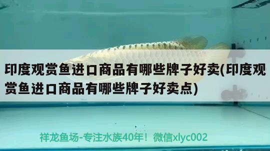 印度觀賞魚進(jìn)口商品有哪些牌子好賣(印度觀賞魚進(jìn)口商品有哪些牌子好賣點(diǎn)) 觀賞魚進(jìn)出口