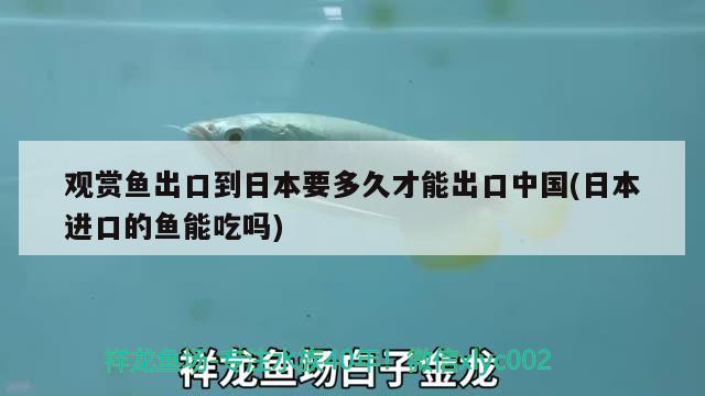 觀賞魚出口到日本要多久才能出口中國(日本進口的魚能吃嗎) 觀賞魚進出口