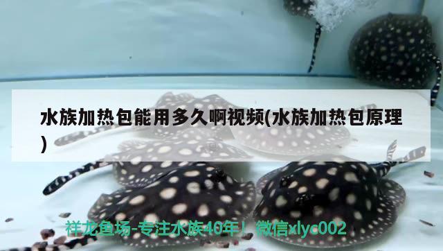 水族加熱包能用多久啊視頻(水族加熱包原理) 細(xì)線銀版魚(yú)