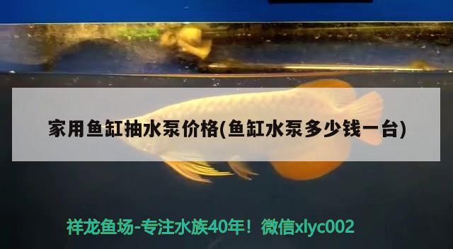 家用魚缸抽水泵價(jià)格(魚缸水泵多少錢一臺(tái)) 魚缸水泵