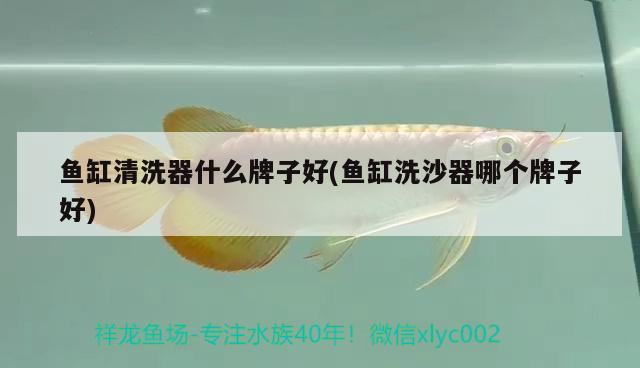 魚缸清洗器什么牌子好(魚缸洗沙器哪個牌子好) 龍鳳鯉魚