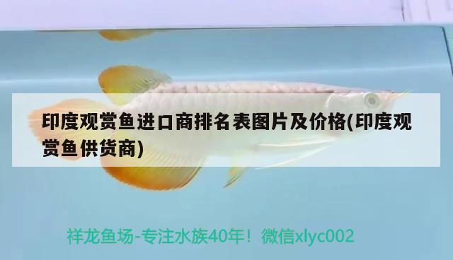 印度觀賞魚進(jìn)口商排名表圖片及價(jià)格(印度觀賞魚供貨商) 觀賞魚進(jìn)出口