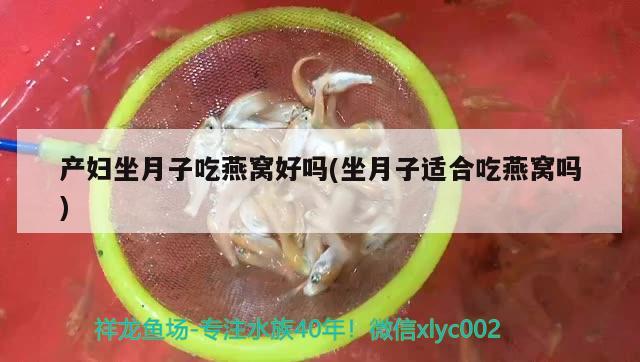 產(chǎn)婦坐月子吃燕窩好嗎(坐月子適合吃燕窩嗎)