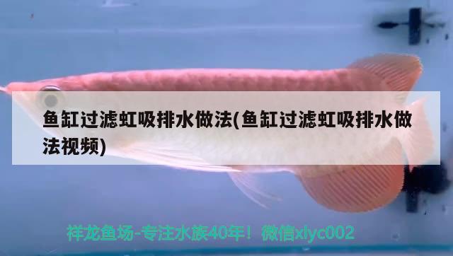 魚缸過濾虹吸排水做法(魚缸過濾虹吸排水做法視頻)