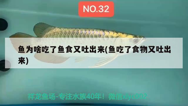 魚為啥吃了魚食又吐出來(魚吃了食物又吐出來) 斑馬狗頭魚