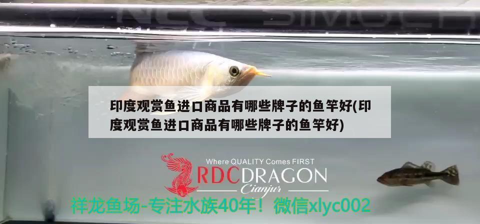 印度觀賞魚進(jìn)口商品有哪些牌子的魚竿好(印度觀賞魚進(jìn)口商品有哪些牌子的魚竿好)