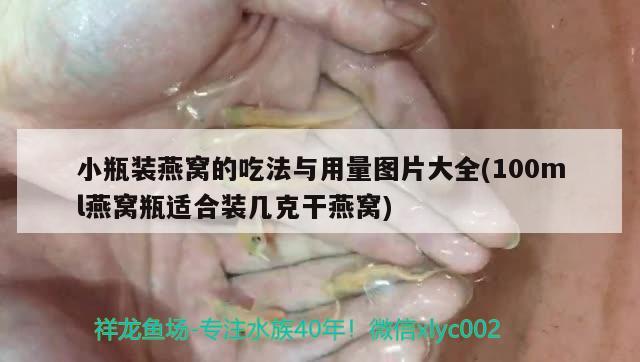 小瓶裝燕窩的吃法與用量圖片大全(100ml燕窩瓶適合裝幾克干燕窩) 馬來西亞燕窩