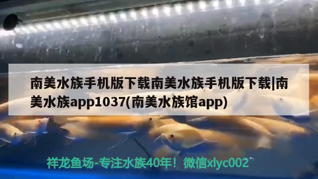 南美水族手機(jī)版下載南美水族手機(jī)版下載南美水族app1037(南美水族館app)