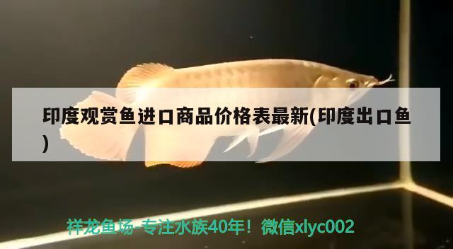 印度觀賞魚進口商品價格表最新(印度出口魚)