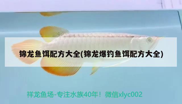 錦龍魚餌配方大全(錦龍爆釣魚餌配方大全)