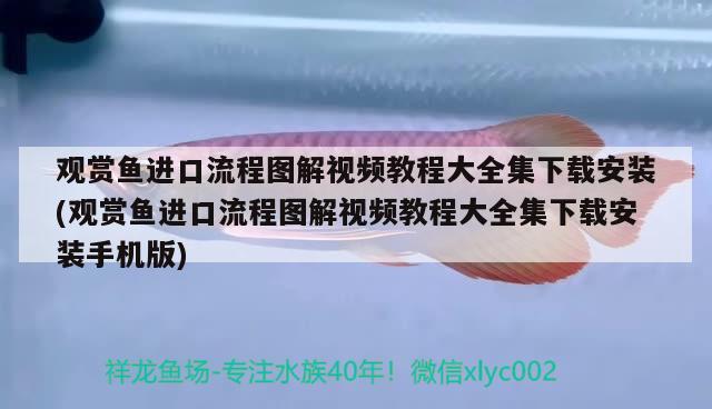 觀賞魚進(jìn)口流程圖解視頻教程大全集下載安裝(觀賞魚進(jìn)口流程圖解視頻教程大全集下載安裝手機(jī)版)