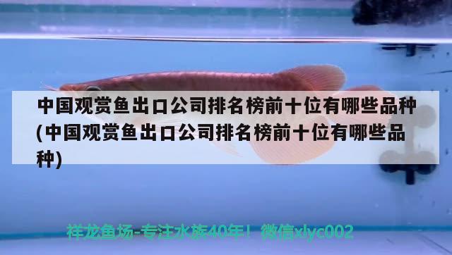 中國觀賞魚出口公司排名榜前十位有哪些品種(中國觀賞魚出口公司排名榜前十位有哪些品種) 觀賞魚進(jìn)出口