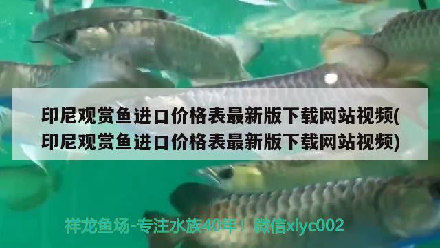 印尼觀賞魚(yú)進(jìn)口價(jià)格表最新版下載網(wǎng)站視頻(印尼觀賞魚(yú)進(jìn)口價(jià)格表最新版下載網(wǎng)站視頻) 觀賞魚(yú)進(jìn)出口