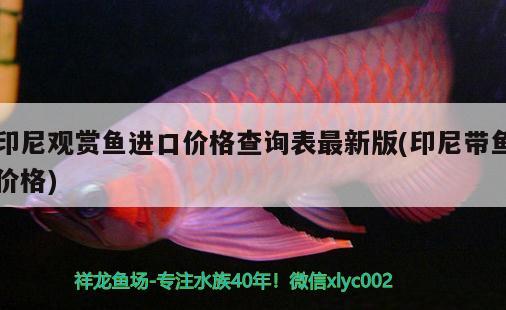 印尼觀賞魚進口價格查詢表最新版(印尼帶魚價格) 觀賞魚進出口