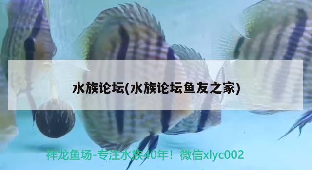 水族論壇(水族論壇魚(yú)友之家) 魚(yú)缸風(fēng)水