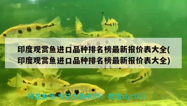 印度觀賞魚進口品種排名榜最新報價表大全(印度觀賞魚進口品種排名榜最新報價表大全)