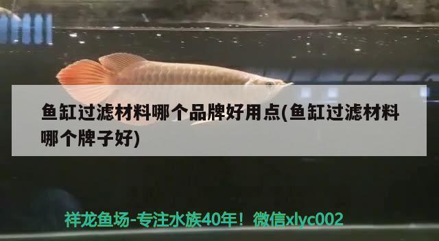 魚缸過濾材料哪個品牌好用點(魚缸過濾材料哪個牌子好) 檸檬鯽