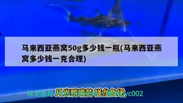 馬來西亞燕窩50g多少錢一瓶(馬來西亞燕窩多少錢一克合理) 馬來西亞燕窩