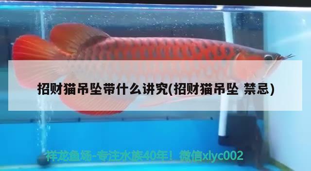 招財貓吊墜帶什么講究(招財貓吊墜禁忌) 虎魚百科