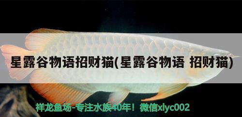 星露谷物語招財(cái)貓(星露谷物語招財(cái)貓)