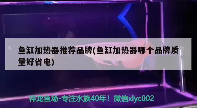 魚缸加熱器推薦品牌(魚缸加熱器哪個(gè)品牌質(zhì)量好省電)