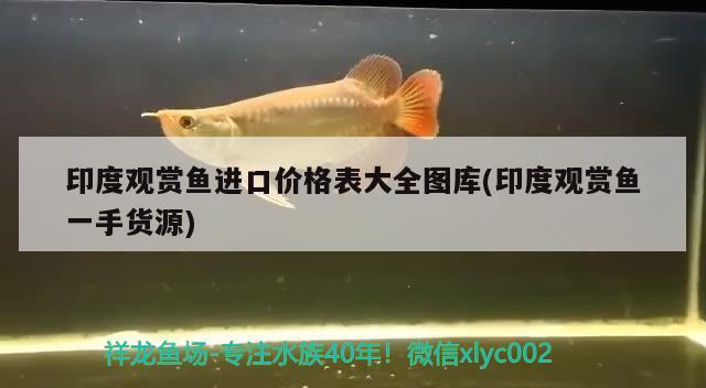 印度觀賞魚進(jìn)口價(jià)格表大全圖庫(印度觀賞魚一手貨源)