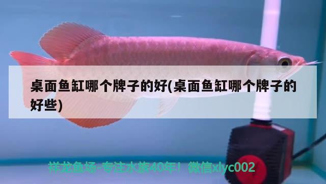 桌面魚缸哪個牌子的好(桌面魚缸哪個牌子的好些)